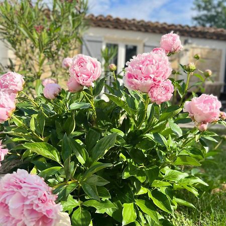 Mas La Farelle Gite, Fitness & Salle De Jeux Gratuite & Spa En Supplement Nîmes Eksteriør billede