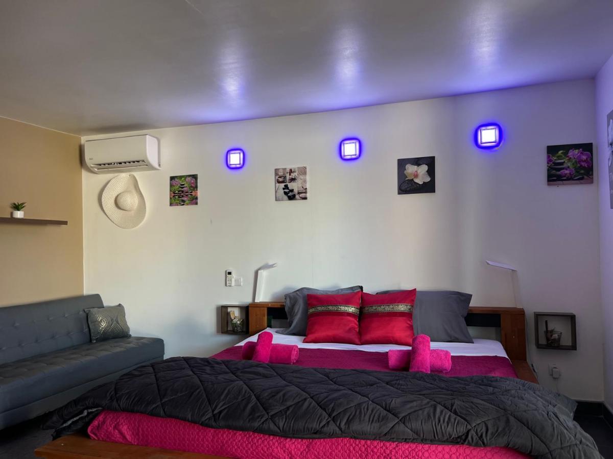 Mas La Farelle Gite, Fitness & Salle De Jeux Gratuite & Spa En Supplement Nîmes Eksteriør billede