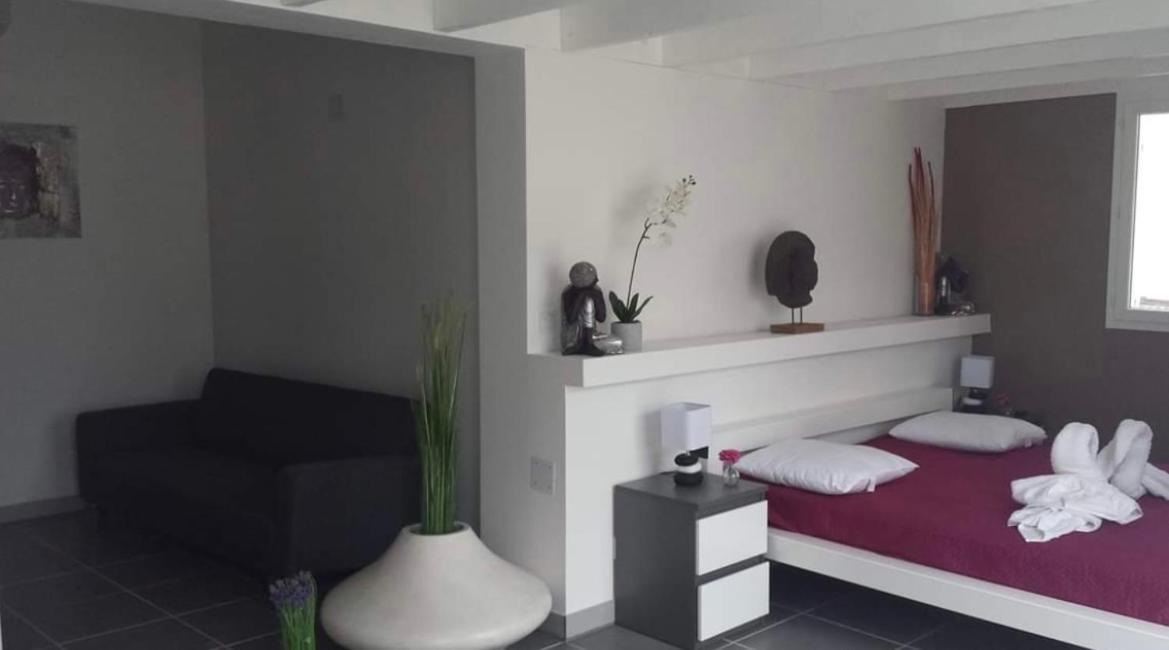 Mas La Farelle Gite, Fitness & Salle De Jeux Gratuite & Spa En Supplement Nîmes Eksteriør billede